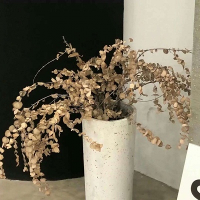 温州FurryQQ群介绍